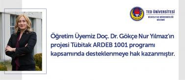 Tübitak ARDEB 1001 Programı